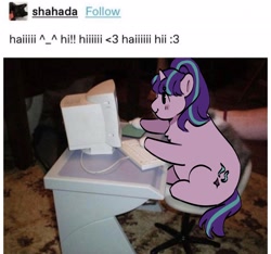 Size: 2098x1963 | Tagged: safe, artist:cardigansandcats, starlight glimmer, pony, unicorn, g4, chest fluff, computer, photo, ponified animal photo, s5 starlight, sitting, smiling, solo, text, tiny, tiny ponies