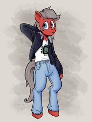 Size: 3000x4000 | Tagged: safe, artist:winterclover, oc, earth pony, semi-anthro, arm hooves, clothes, denim, digital art, female, female oc, hoodie, jacket, jeans, pants, solo