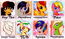 Size: 2250x1364 | Tagged: safe, artist:mirroredsea, oc, oc only, oc:eksoka, oc:hay tea, oc:panic, oc:ponytronic, oc:tcb, earth pony, pegasus, pony, bust, female, male, mare, polaroid, stallion