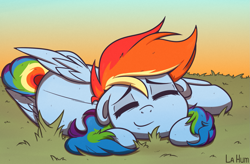 Size: 1649x1080 | Tagged: safe, artist:la hum, rainbow dash, pegasus, pony, g4, cute, dashabetes, eyes closed, female, floppy ears, folded wings, grass, lying down, mare, signature, sleeping, smiling, solo, wings