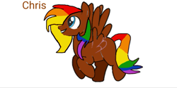 Size: 815x409 | Tagged: safe, oc, oc only, oc:chris, pegasus, pony, base used, blue eyes, brown coat, multicolored hair, pride, rainbow hair, rainbow tail, simple background, smiling, solo, tail, text, white background