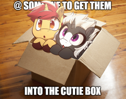 Size: 1272x1000 | Tagged: safe, artist:light262, oc, oc only, oc:light heart, oc:s.leech, pony, box, cute, female, filly, foal, meme, oc x oc, ponified animal photo, pony in a box, shipping