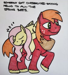 Size: 1851x2048 | Tagged: safe, artist:hoofclid, big macintosh, fluttershy, earth pony, pegasus, pony, g4, carrying, cute, duo, duo male and female, female, fluttershy riding big macintosh, macabetes, male, mare, onomatopoeia, ponies riding ponies, riding, shyabetes, sound effects, stallion, traditional art, zzz