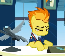 Size: 1380x1205 | Tagged: safe, screencap, spitfire, pegasus, pony, g4, my little pony: friendship is magic, wonderbolts academy, clothes, cropped, desk, drill sergeant, female, lidded eyes, mare, necktie, office, solo, spitfire's office, suit, uniform, window, wonderbolts uniform