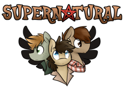 Size: 600x424 | Tagged: safe, artist:supernaturalismagic, earth pony, pegasus, pony, tumblr:supernaturalismagic, ask, castiel, crossover, dean winchester, male, ponified, sam winchester, simple background, stallion, supernatural, transparent background, trio