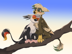 Size: 2264x1716 | Tagged: safe, artist:ghoasthead, oc, oc only, oc:angelcrest, oc:dillinger, griffon, blushing, couple, cute, eyes closed, female, gradient background, griffon oc, male, paws, shipping, snuggling, straight, talons