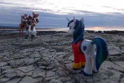 Size: 4608x3072 | Tagged: safe, artist:dingopatagonico, shining armor, pony, unicorn, g4, argentina, beach, photo, serpent mobile suit