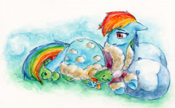 Size: 1545x959 | Tagged: safe, artist:yuzumiso, rainbow dash, tank, pegasus, pony, tortoise, g4, tanks for the memories, bathrobe, clothes, dashie slippers, duo, female, floppy ears, lying down, mare, pillow, robe, sad, slippers, tank slippers, traditional art, watercolor painting