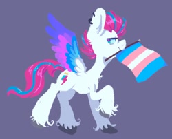 Size: 1724x1396 | Tagged: safe, artist:kreeeeeez, zipp storm, pegasus, pony, g5, concave belly, ear piercing, flag, helix piercing, lineless, mouth hold, piercing, pride, pride flag, side view, simple background, solo, spread wings, trans zipp, transgender pride flag, unshorn fetlocks, wings