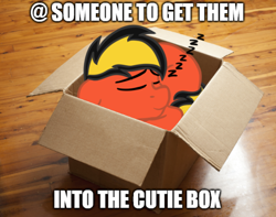 Size: 486x382 | Tagged: safe, artist:justapone, oc, oc only, oc:golden blast, pony, box, colored, cute, eyes closed, if i fits i sits, lying down, onomatopoeia, ponified animal photo, pony in a box, ponyloaf, prone, sleeping, smiling, sound effects, zzz
