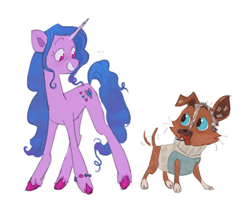 Size: 2048x1705 | Tagged: safe, artist:arrgh-whatever, izzy moonbow, dog, pony, unicorn, g5, bracelet, clothes, concave belly, crossover, dreamworks, duo, height difference, jewelry, long mane, looking at each other, looking at someone, perrito, puss in boots: the last wish, shrek, simple background, slender, sweater, tail, tail wag, thin, unshorn fetlocks, white background