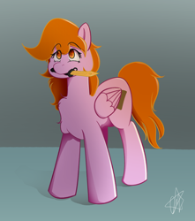 Size: 1900x2150 | Tagged: safe, artist:ermecg, oc, oc only, oc:bon voyage, pegasus, pony, colored lineart, cute, knife, looking up, mouth hold, pegasus oc, simple background, solo