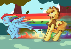 Size: 2048x1423 | Tagged: safe, artist:mscolorsplash, braeburn, rainbow dash, earth pony, pegasus, pony, duo, duo male and female, ears back, female, male, mare, running, spread wings, stallion, windswept mane, wings