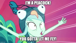 Size: 888x499 | Tagged: safe, edit, edited screencap, screencap, lyra heartstrings, human, all's fair in love & friendship games, equestria girls, g4, animal costume, bird costume, caption, female, image macro, lyrabird, mark wahlberg, peacock costume, solo, text, the other guys
