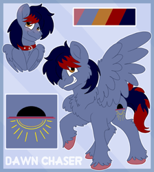 Size: 1701x1900 | Tagged: safe, artist:euspuche, oc, oc only, oc:dawn chaser, pegasus, pony, blushing, bust, chest fluff, collar, colored hooves, commission, cutie mark, digital art, looking at you, male, pegasus oc, reference sheet, simple background, smiling, solo, spread wings, stallion, tail, two toned mane, two toned tail, unshorn fetlocks, wings