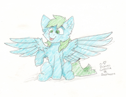 Size: 1171x906 | Tagged: safe, artist:princess celestia, oc, oc only, oc:blu deucee, pegasus, pony, :p, chest fluff, cute, ear fluff, eyebrows, eyebrows visible through hair, male, ocbetes, pegasus oc, pencil drawing, signature, simple background, sitting, smiling, solo, spread wings, stallion, tongue out, traditional art, white background, wings