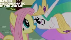 Size: 1920x1080 | Tagged: safe, edit, edited screencap, editor:quoterific, screencap, fluttershy, princess celestia, alicorn, pegasus, pony, a bird in the hoof, g4, season 1, adorable face, cute, shyabetes