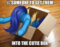 Size: 486x382 | Tagged: safe, artist:helmie-art, oc, oc only, oc:helmie, pegasus, pony, box, butt, featureless crotch, frog (hoof), plot, ponified animal photo, pony in a box, solo, tail, underhoof, wings