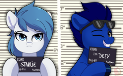 Size: 3915x2426 | Tagged: safe, artist:joaothejohn, oc, oc only, oc:deevfactor, oc:starlie, earth pony, pegasus, pony, barbie, barbie (film), barbie mugshot meme, commission, cute, duo, high res, looking at you, looking up, meme, mugshot, name, one eye closed, pegasus oc, sign, smiling, sunglasses, text, wink