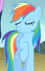 Size: 240x380 | Tagged: safe, screencap, rainbow dash, pegasus, pony, dragonshy, g4, season 1, cropped, eyes closed, female, frown, mare, rainbow dash is best facemaker, raised hoof, solo, standing, wingless