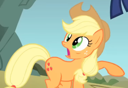 Size: 494x339 | Tagged: safe, screencap, applejack, earth pony, pony, dragonshy, g4, season 1, applejack's hat, cowboy hat, cropped, female, freckles, hat, looking at something, mare, raised hoof, shocked, solo, surprised