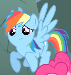 Size: 332x352 | Tagged: safe, screencap, rainbow dash, pegasus, pony, dragonshy, g4, season 1, cropped, cute, dashabetes, female, flying, looking down, mare, rainbow dash is best facemaker, raised hoof, solo focus, spread wings, unsure, wings