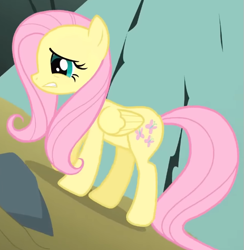 Size: 607x621 | Tagged: safe, screencap, fluttershy, pegasus, pony, dragonshy, g4, season 1, cropped, dirt, female, folded wings, gritted teeth, mare, mouth on side of face, nervous, rock, solo, teeth, walking, wings