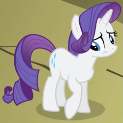 Size: 503x503 | Tagged: safe, screencap, rarity, pony, unicorn, dragonshy, g4, season 1, ashamed, cropped, female, high angle, looking down, mare, mouth on side of face, raised hoof, solo, standing