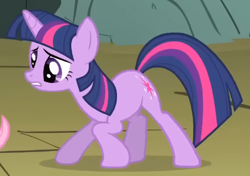 Size: 498x351 | Tagged: safe, screencap, twilight sparkle, pony, unicorn, dragonshy, g4, season 1, cropped, crouching, derp, derplight sparkle, faic, female, looking at someone, mare, solo, twilight sparkle is best facemaker, unicorn twilight