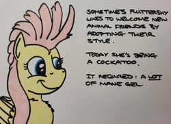 Size: 2048x1480 | Tagged: safe, artist:hoofclid, fluttershy, pegasus, pony, g4, alternate hairstyle, chest fluff, female, mare, mohawk, smiling, solo, text, traditional art