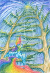 Size: 1280x1844 | Tagged: safe, artist:liz-kotlin, rainbow dash, pegasus, pony, g4, colored pencil drawing, sky, solo, sun, traditional art, tree