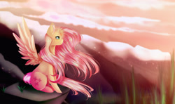 Size: 4000x2375 | Tagged: safe, artist:insaheart, fluttershy, pegasus, pony, g4, cloud, cloudy, ear fluff, female, frown, high res, mare, princewhateverer, profile, rock, sitting, solo, spread wings, sunset, windswept mane, wings