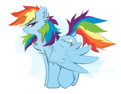 Size: 1222x955 | Tagged: safe, artist:kejifox, rainbow dash, pegasus, pony, g4, aside glance, chest fluff, dock, ear fluff, female, looking at you, mare, side view, signature, simple background, smiling, smirk, solo, spread wings, tail, white background, wings