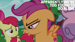 Size: 2000x1125 | Tagged: safe, edit, edited screencap, editor:quoterific, screencap, apple bloom, scootaloo, sweetie belle, earth pony, pegasus, pony, unicorn, g4, growing up is hard to do, cutie mark crusaders