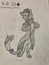Size: 4032x3024 | Tagged: safe, artist:mlpfantealmintmoonrise, capper dapperpaws, cat, g4, my little pony: the movie, atg 2023, newbie artist training grounds, pen drawing, pencil drawing, signature, traditional art