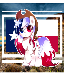 Size: 720x833 | Tagged: source needed, safe, artist:diniarvegafinahar, oc, oc only, earth pony, pony, applejack's hat, blue mane, blushing, cowboy hat, crossover, flag, hat, heterochromia, knee blush, looking at you, multicolored mane, nation ponies, polandball, ponified, real life background, red mane, ten gallon hat, texas, texas flag, texasball, united states, white mane