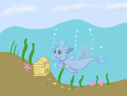 Size: 1280x960 | Tagged: safe, artist:addelum, silverstream, seapony (g4), starfish, g4, blue eyes, blue mane, bubble, dorsal fin, female, fin, fin wings, fins, fish tail, flowing mane, newbie artist training grounds, ocean, seapony silverstream, seaweed, solo, swimming, tail, treasure chest, underwater, water, wings