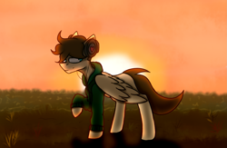 Size: 2475x1609 | Tagged: safe, artist:ashel_aras, oc, oc only, pegasus, pony, calm, clothes, grass, grass field, headphones, sketch, solo, sunset, sweater