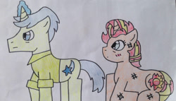 Size: 1181x676 | Tagged: safe, artist:dragonpriness, comet tail, sunset shimmer, pony, unicorn, g4, blushing, clothes, duo, female, male, mare, older, older comet tail, older sunset, protecting, ship:cometshimmer, shipping, simple background, stallion, straight, traditional art