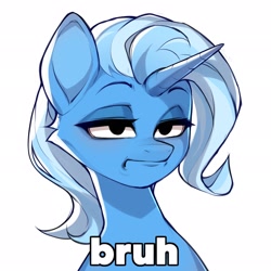 Size: 2048x2048 | Tagged: safe, artist:minekoo2, trixie, pony, unicorn, g4, bruh, bust, female, high res, mare, reaction image, simple background, solo, text, unamused