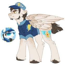 Size: 1000x1000 | Tagged: safe, artist:kazmuun, fast clip, manerick, pegasus, pony, series:kazmuun's drawing every pony, g4, alternate design, angry, beard, cap, countershading, ears back, facial hair, freckles, goatee, gradient legs, hat, leg fluff, male, partially open wings, redesign, screencap reference, sideburns, simple background, slit pupils, solo, stallion, standing, transparent background, unshorn fetlocks, wings