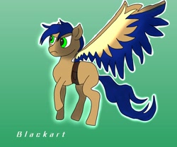 Size: 3000x2500 | Tagged: safe, artist:blacksun nuller, oc, oc:jarco, pegasus, pony, angry, gradient background, green eyes, high res, male, male oc, solo