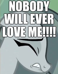 Size: 434x551 | Tagged: safe, edit, edited screencap, screencap, marble pie, earth pony, pony, g4, my little pony best gift ever, blatant lies, bronybait, caption, cropped, crying, depressed, dialogue, female, forever alone, gritted teeth, heartbreak, heartbroken marble, image macro, lies, lonely, mare, meme, sad, solo, teeth, text