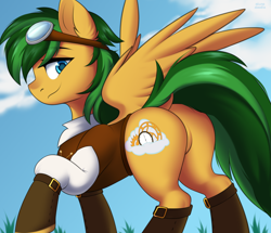 Size: 2662x2286 | Tagged: safe, artist:alunedoodle, oc, oc:bronycars, pegasus, pony, bedroom eyes, boots, bust, butt, clothes, commission, featureless crotch, glasses, high res, male, male oc, plot, portrait, rear view, shoes, simple background, solo, stallion, vest, ych result