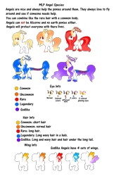 Size: 1943x3000 | Tagged: safe, artist:angellightyt, oc, oc only, pegasus, pony, base used, female, halo, mare, pegasus oc, reference sheet, simple background, transparent background