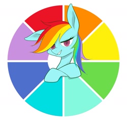 Size: 1949x1857 | Tagged: safe, artist:noupu, rainbow dash, pegasus, pony, g4, art challenge, color wheel, color wheel challenge, crossed hooves, faic, female, grin, lidded eyes, looking at you, mare, one ear down, simple background, smiling, smiling at you, smug, smugdash, solo, white background