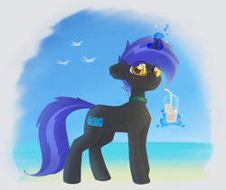 Size: 1920x1620 | Tagged: safe, artist:pollynia, oc, oc only, oc:pixel shield, pony, unicorn, beach, drink, floppy ears, glasses, looking at you, magic, male, male oc, ocean, smiling, smiling at you, smoothie, solo, standing, telekinesis, water