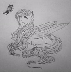 Size: 2448x2477 | Tagged: safe, artist:crazyaniknowit, fluttershy, butterfly, g4, high res, lying down, monochrome, prone, solo, traditional art