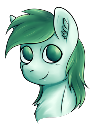 Size: 2000x2548 | Tagged: safe, artist:coco-drillo, oc, oc only, oc:mintfeather, pegasus, pony, bust, chest fluff, ear fluff, green eyes, high res, looking at you, male, male oc, pegasus oc, portrait, simple background, smiling, smiling at you, solo, stallion, transparent background