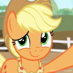 Size: 1080x1080 | Tagged: safe, artist:apple.tothecore, applejack, earth pony, pony, g4, the last problem, cute, female, fence, jackabetes, mare, older, older applejack, selfie, solo